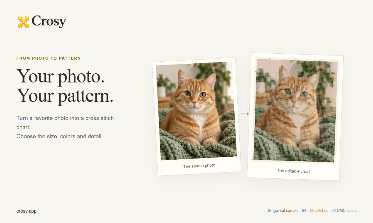 The same ginger-cat photo beside its Crosy cross-stitch chart, made with a 64 by 80 stitch grid and 24 DMC colors.